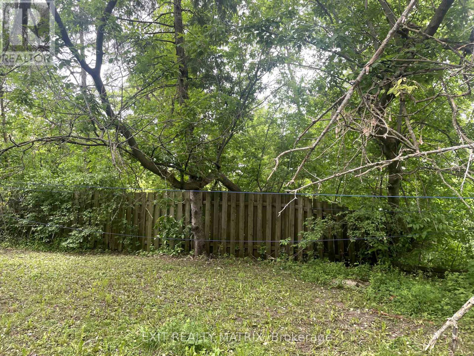 3803 Carp Road