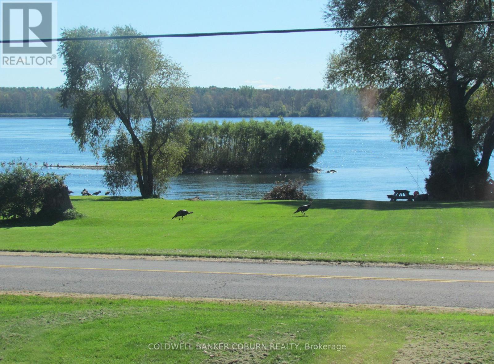 11391 Lakeshore Drive