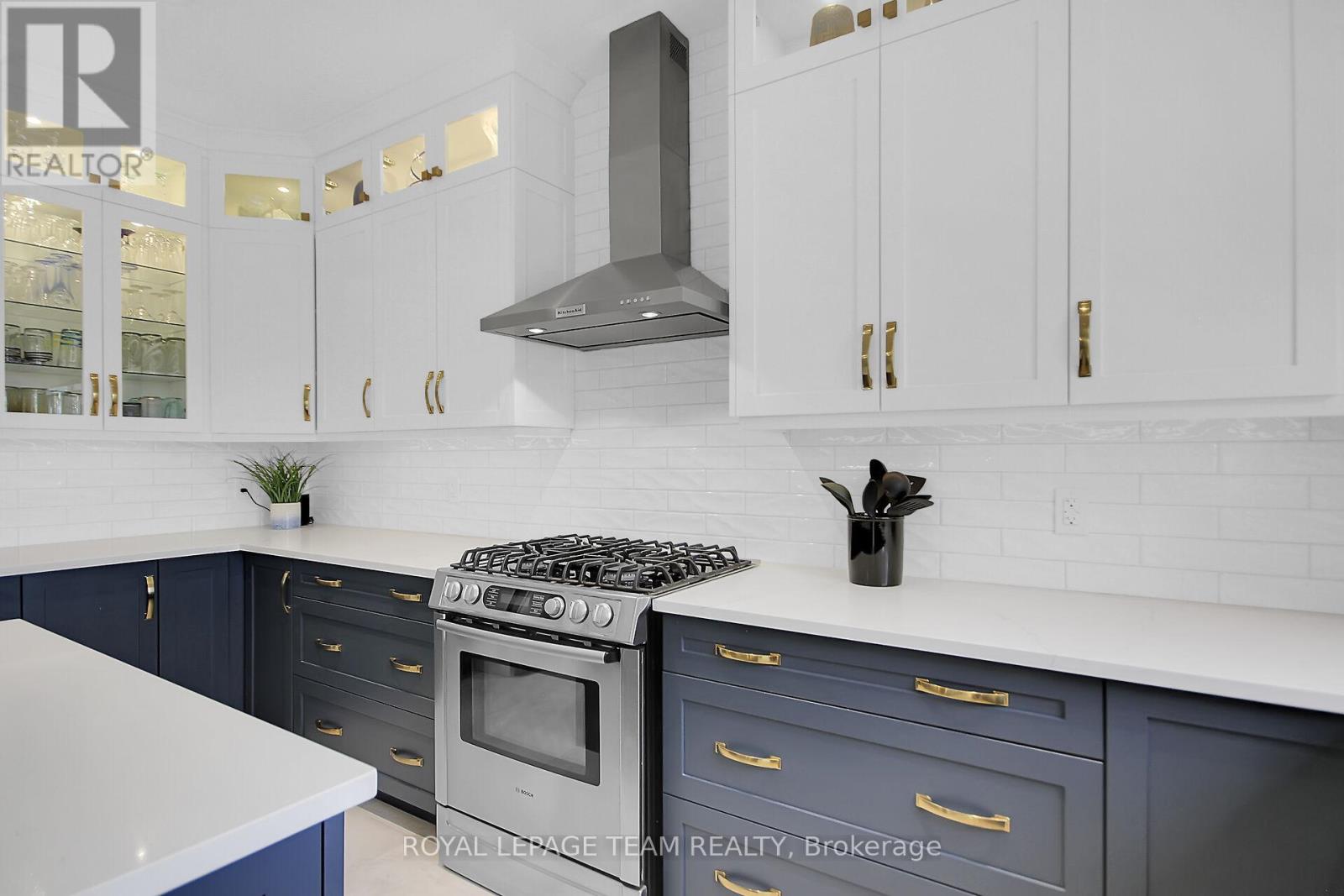 441 Blackleaf Drive