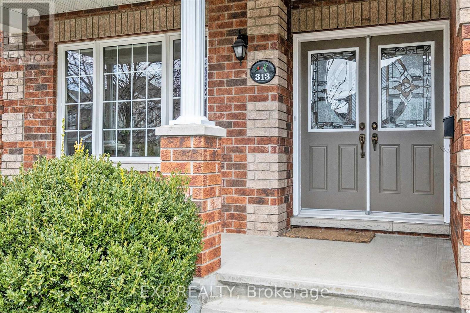 313 Wild Iris Avenue