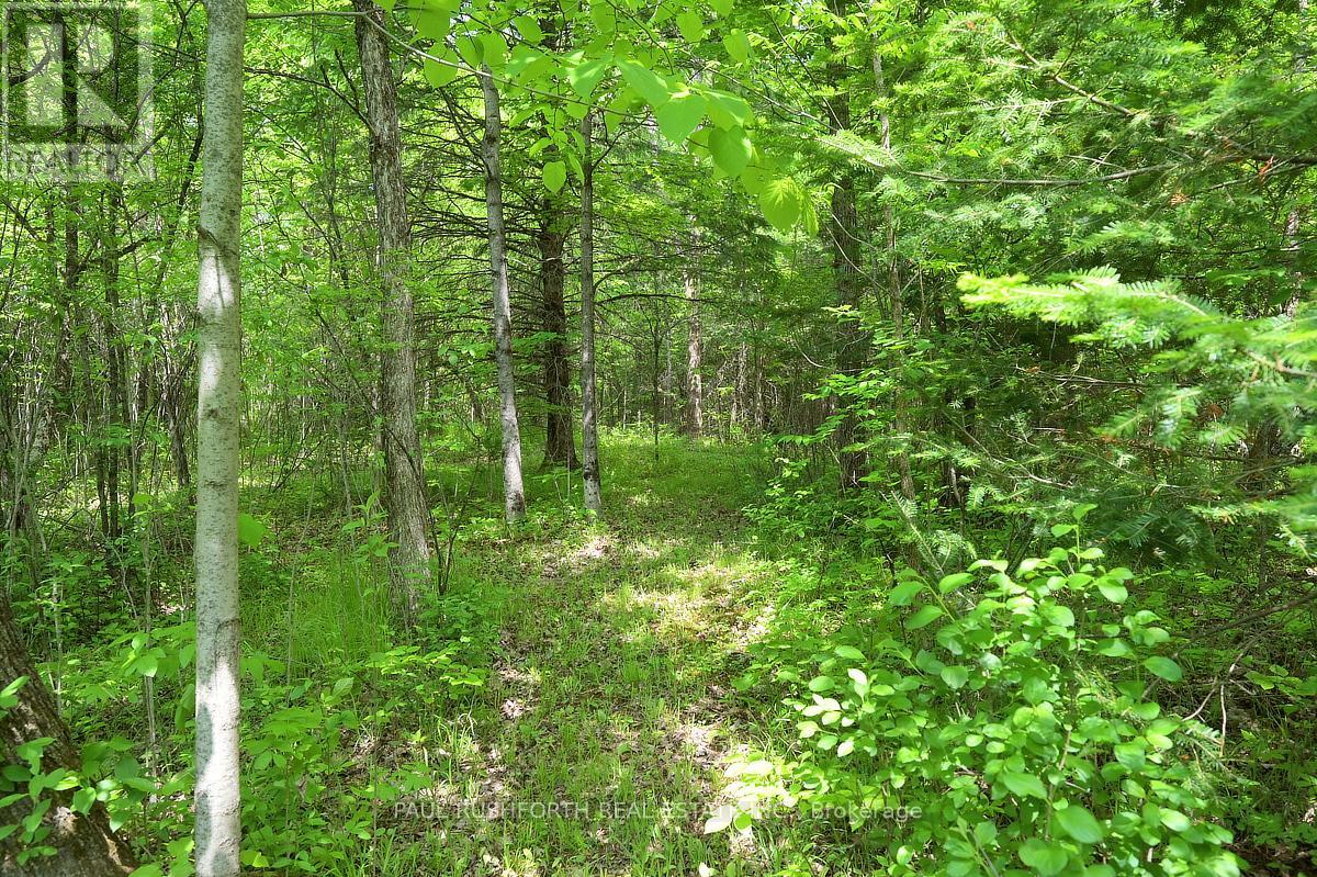 1648 Ramsay 3a Concession