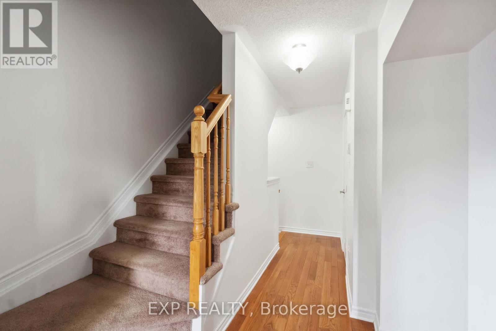 2307 Blue Aster Street