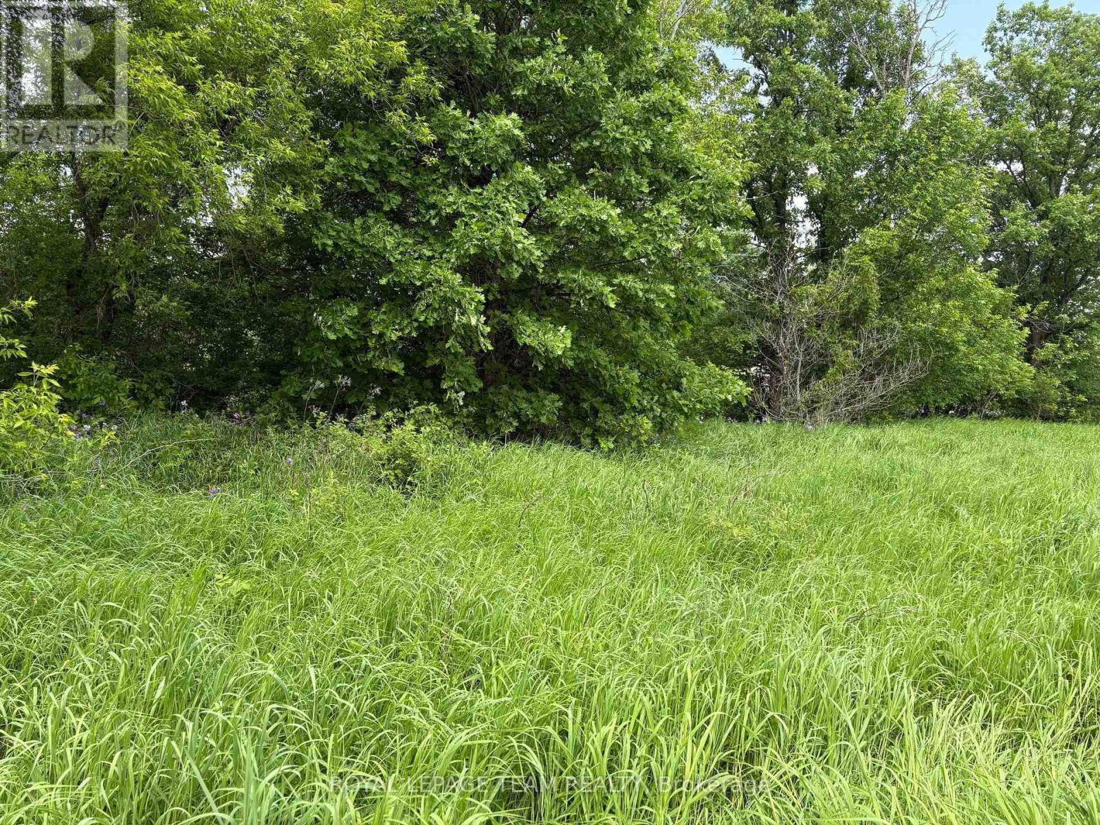 161 Old Pakenham Road