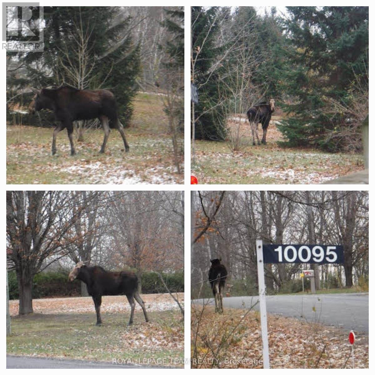 10095 Shaw Road