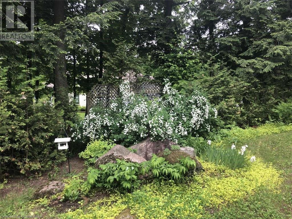 704 Pattee Road