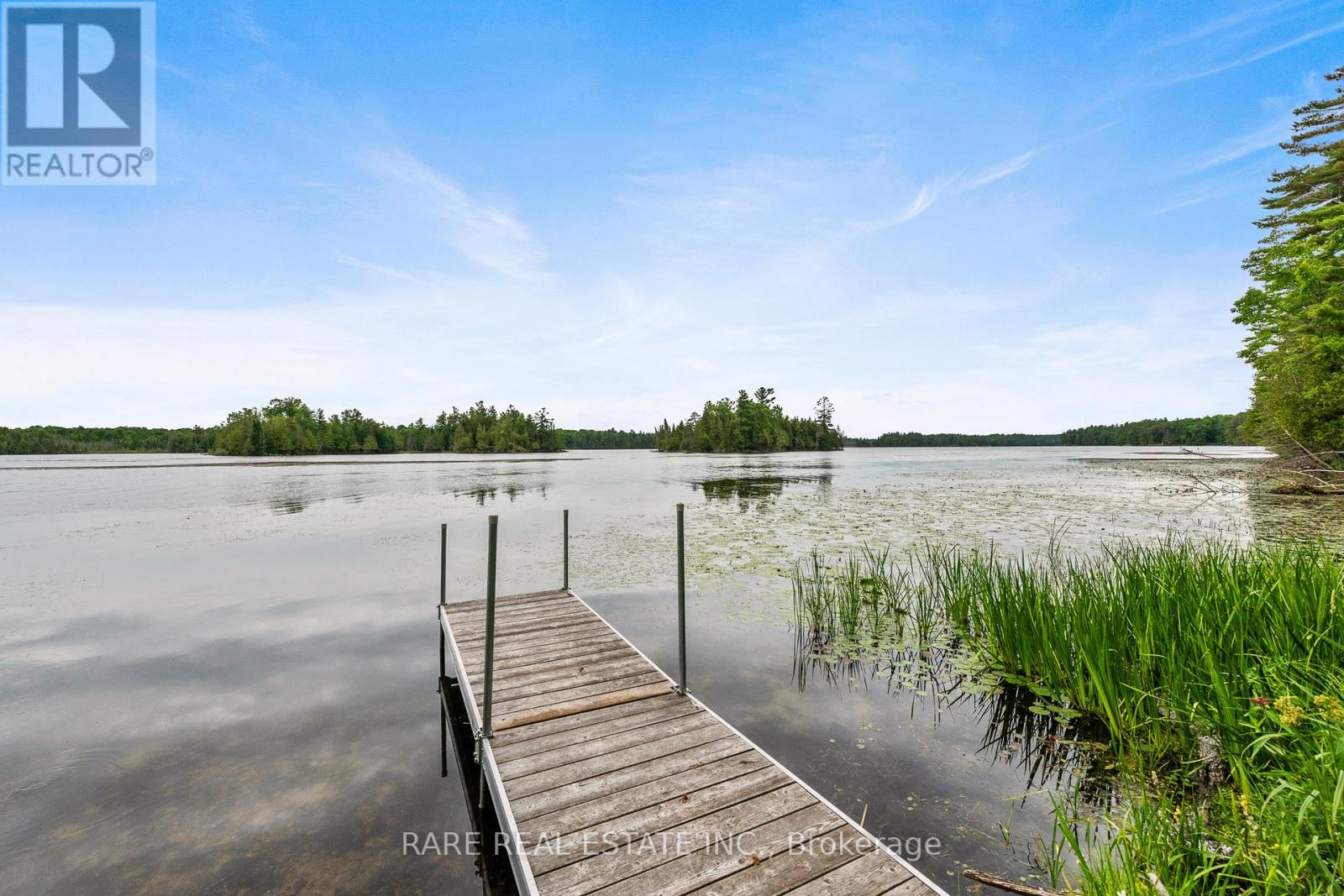 447 Hardwood Ridge Road