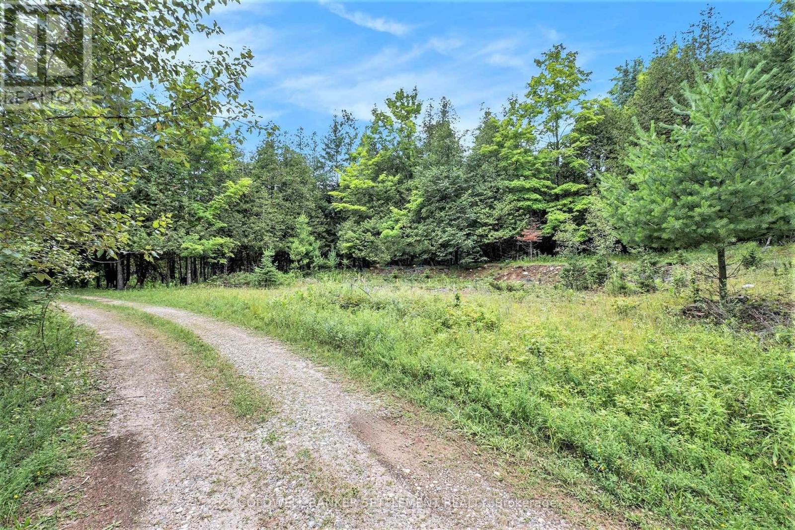 884 Conc. 9a Dalhousie Road