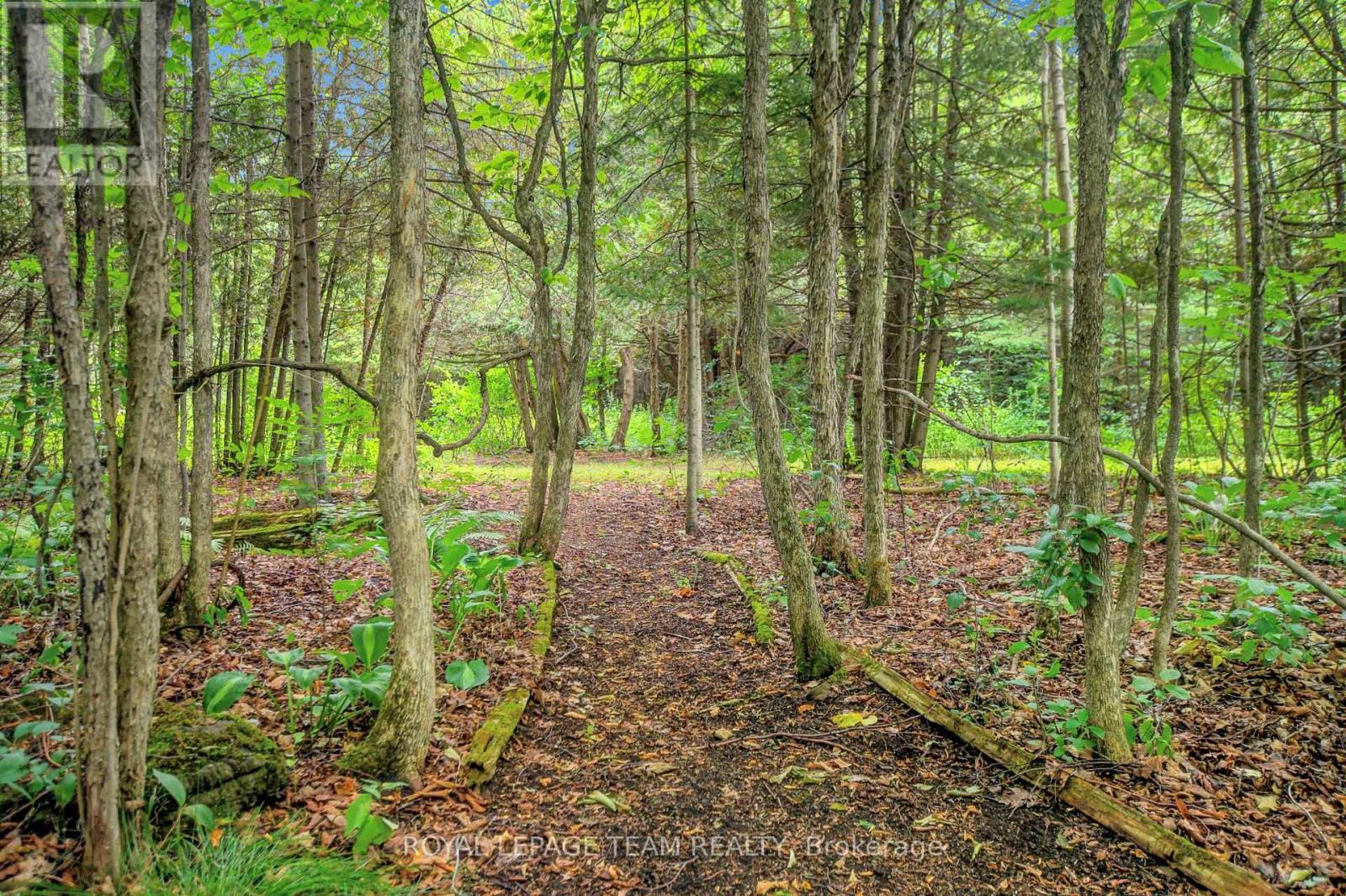 1043 County Rd 44 Road E