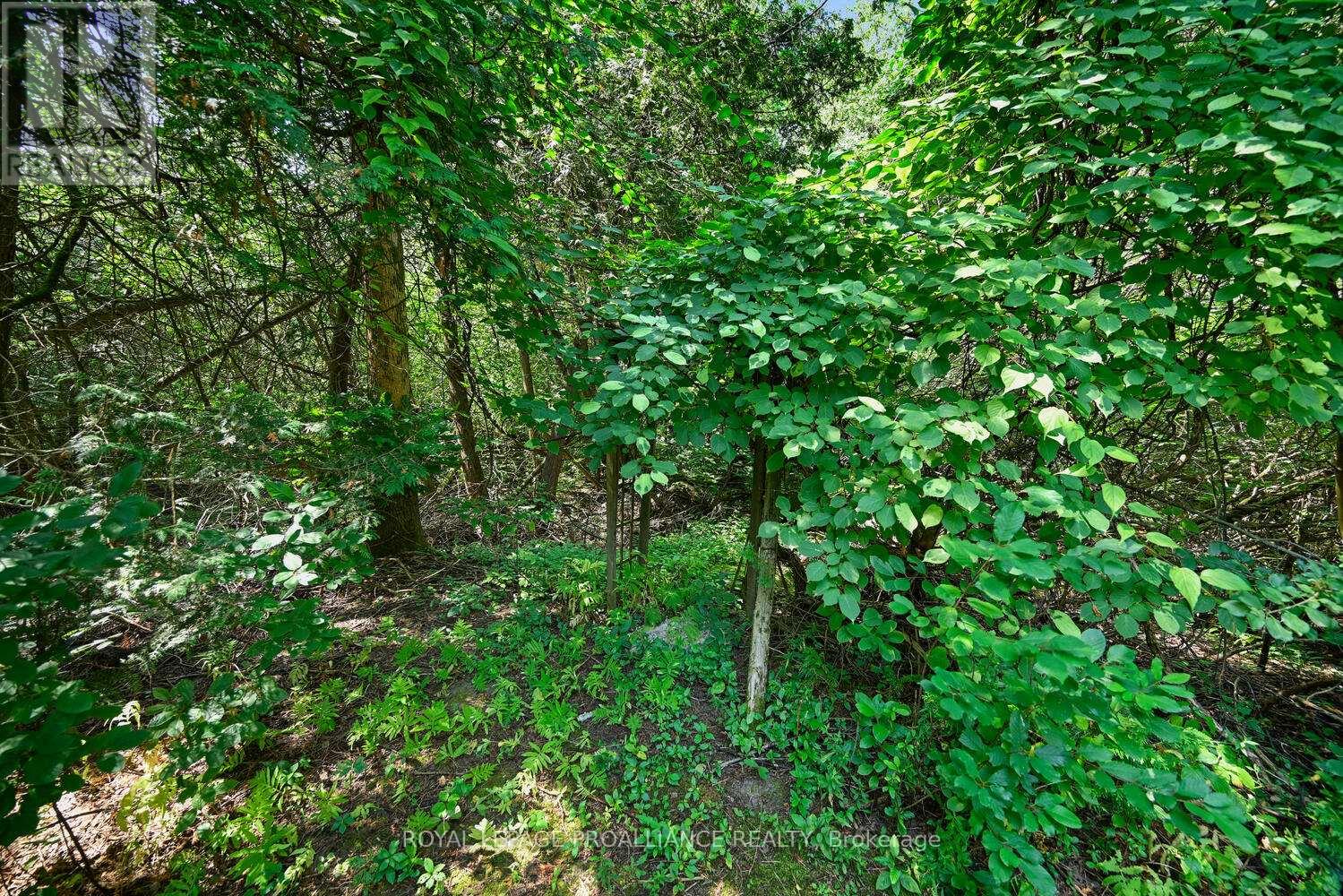 3050 Merwin Lane