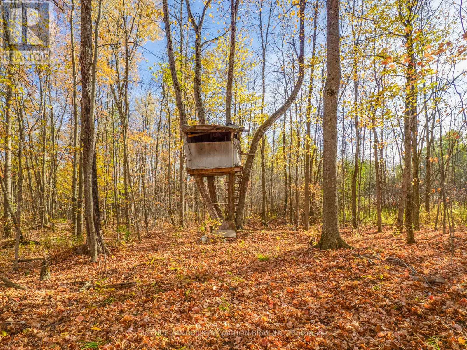 18668 Concession 2 Road