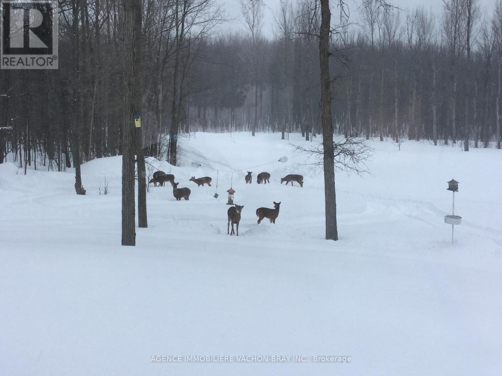 18668 Concession 2 Road