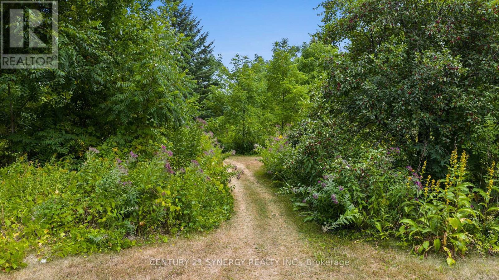 5984 Third Line Road N