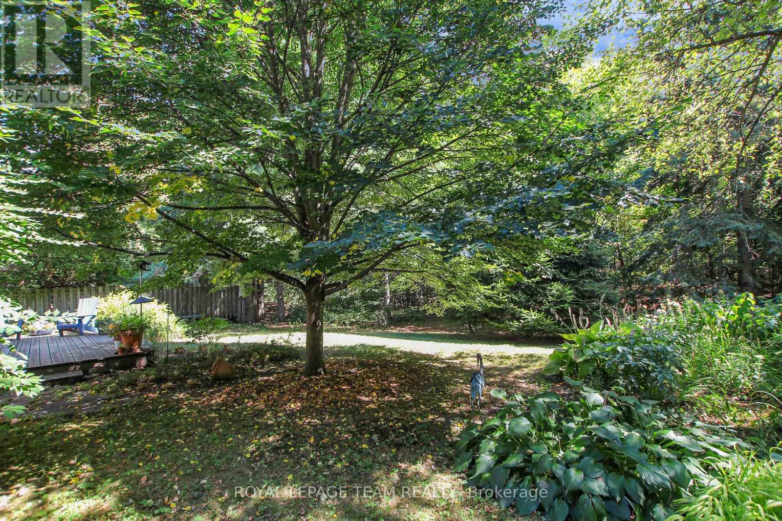 484 Hazeldean Road, Unit #1
