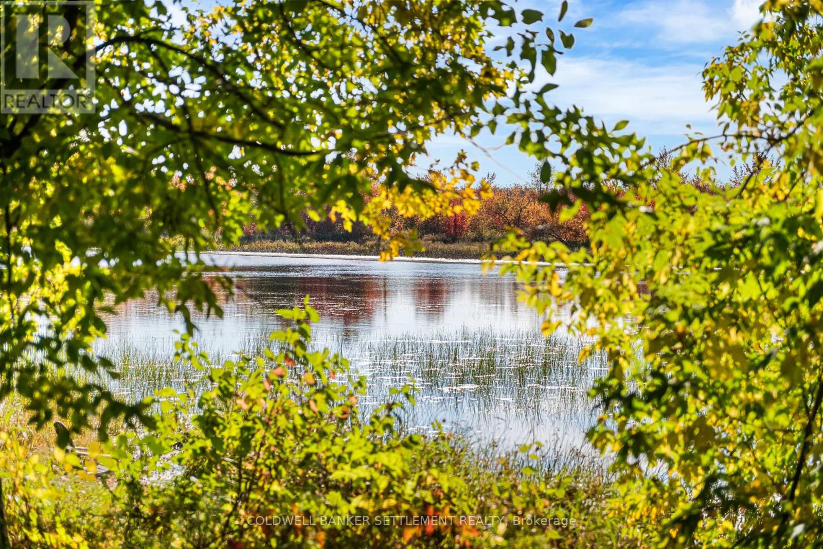 1332 Ferguson Falls Road