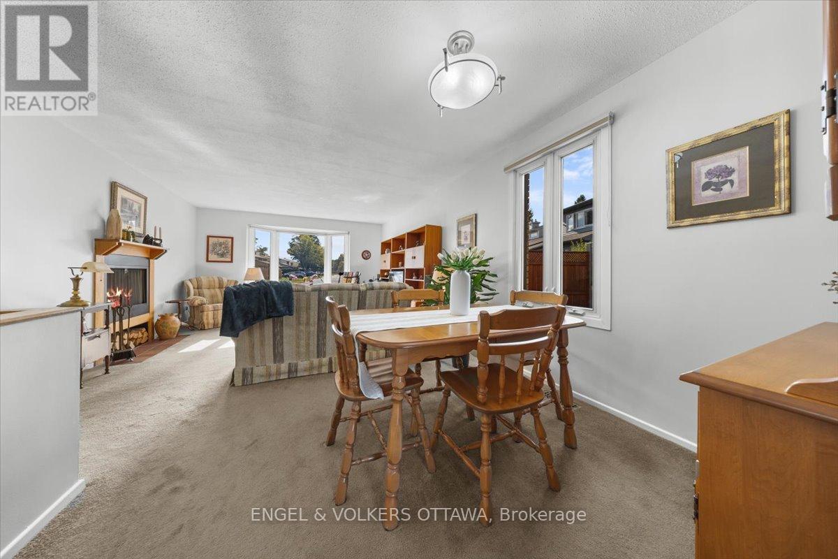 11 Ventnor Way