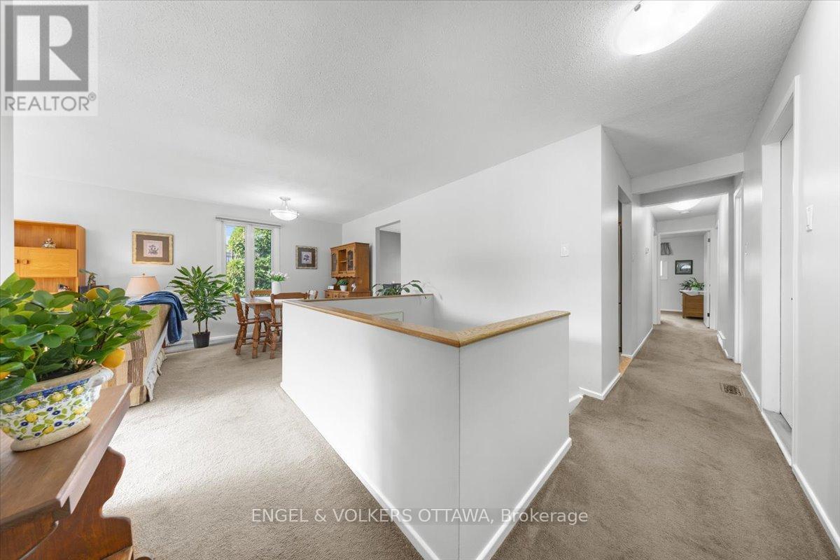 11 Ventnor Way