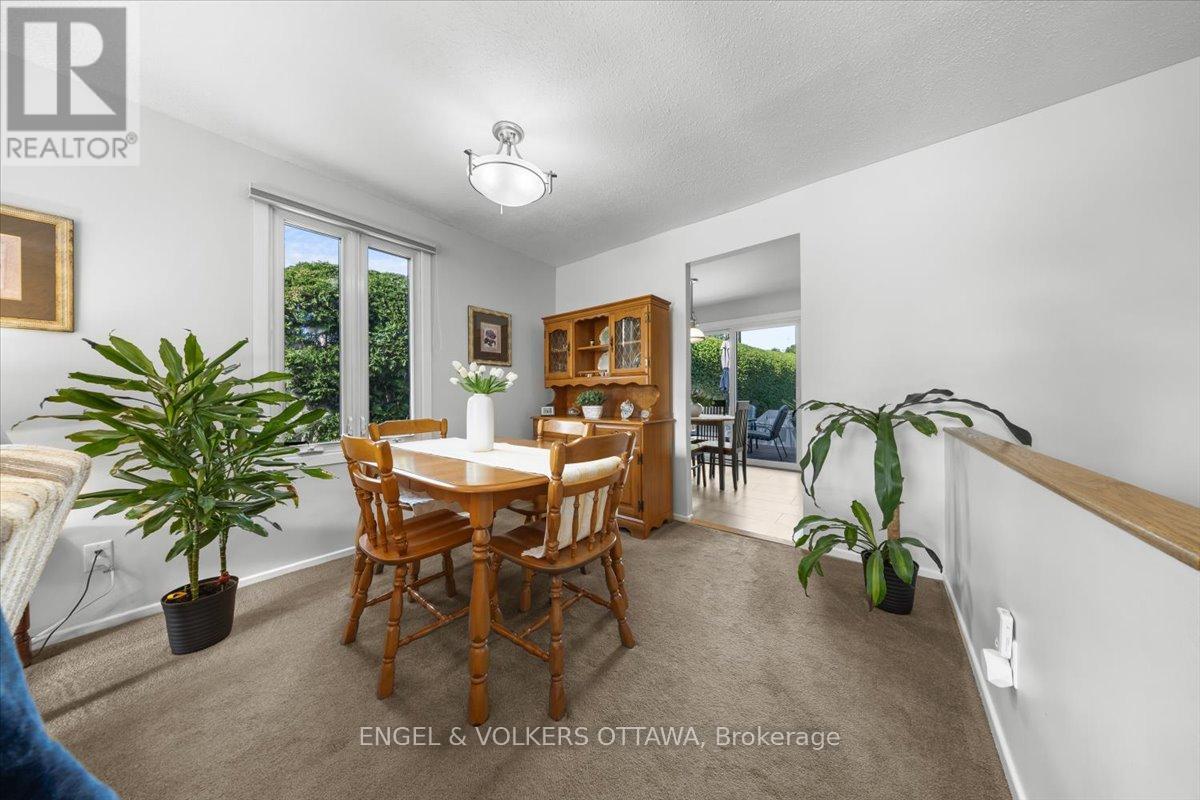 11 Ventnor Way