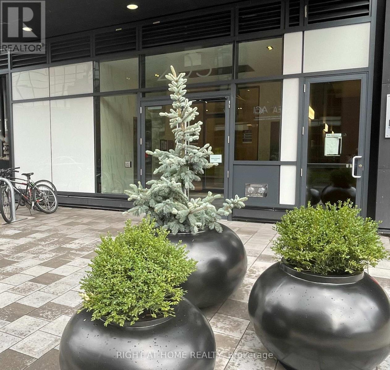 705 - 203 Catherine Street