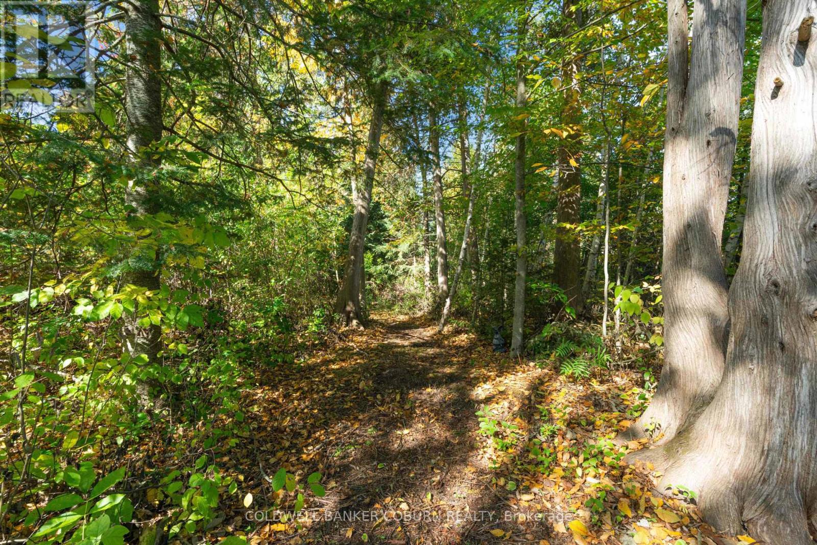 2 Sugar Maple Way