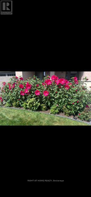 229 Purchase Crescent
