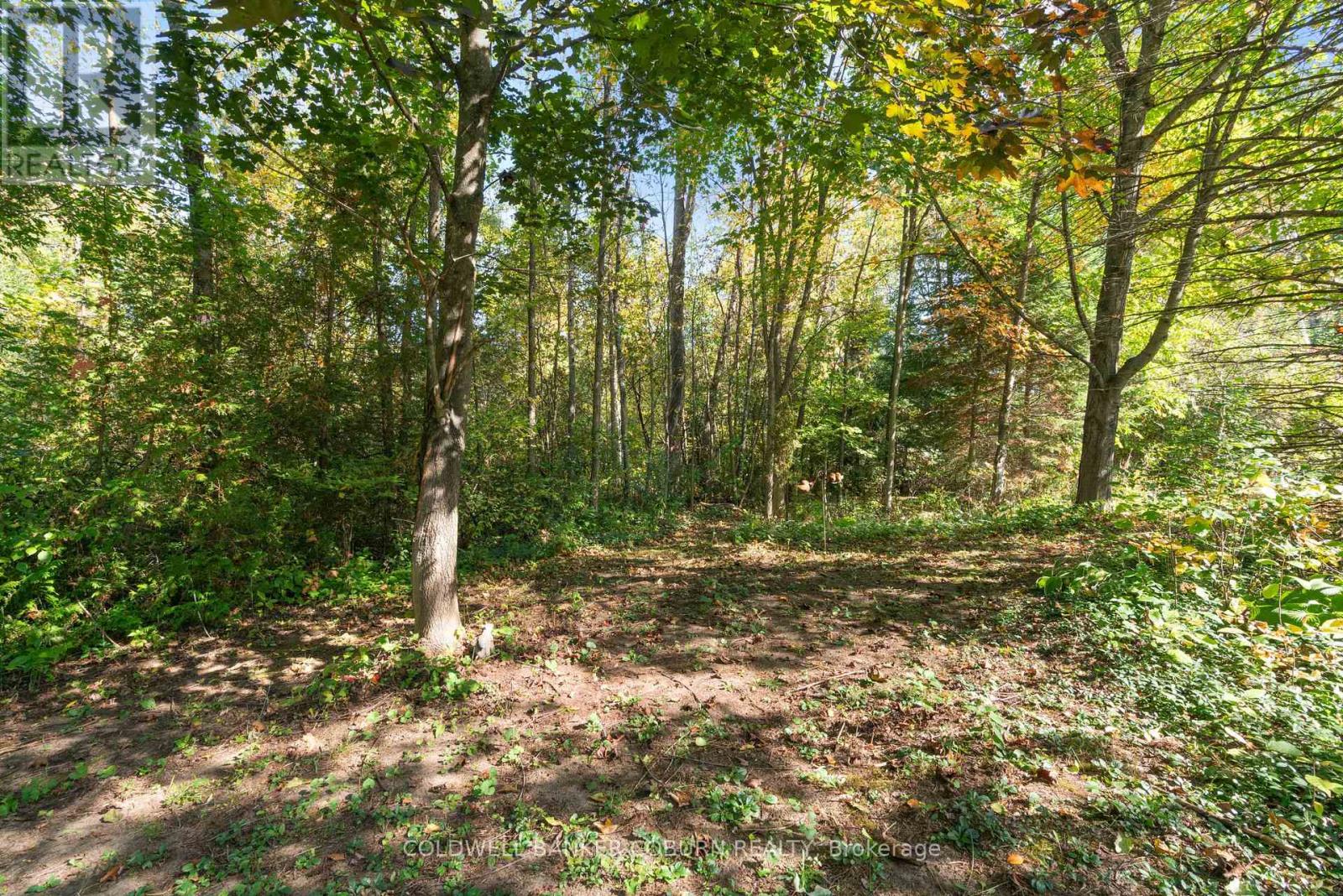 2 Sugar Maple Way