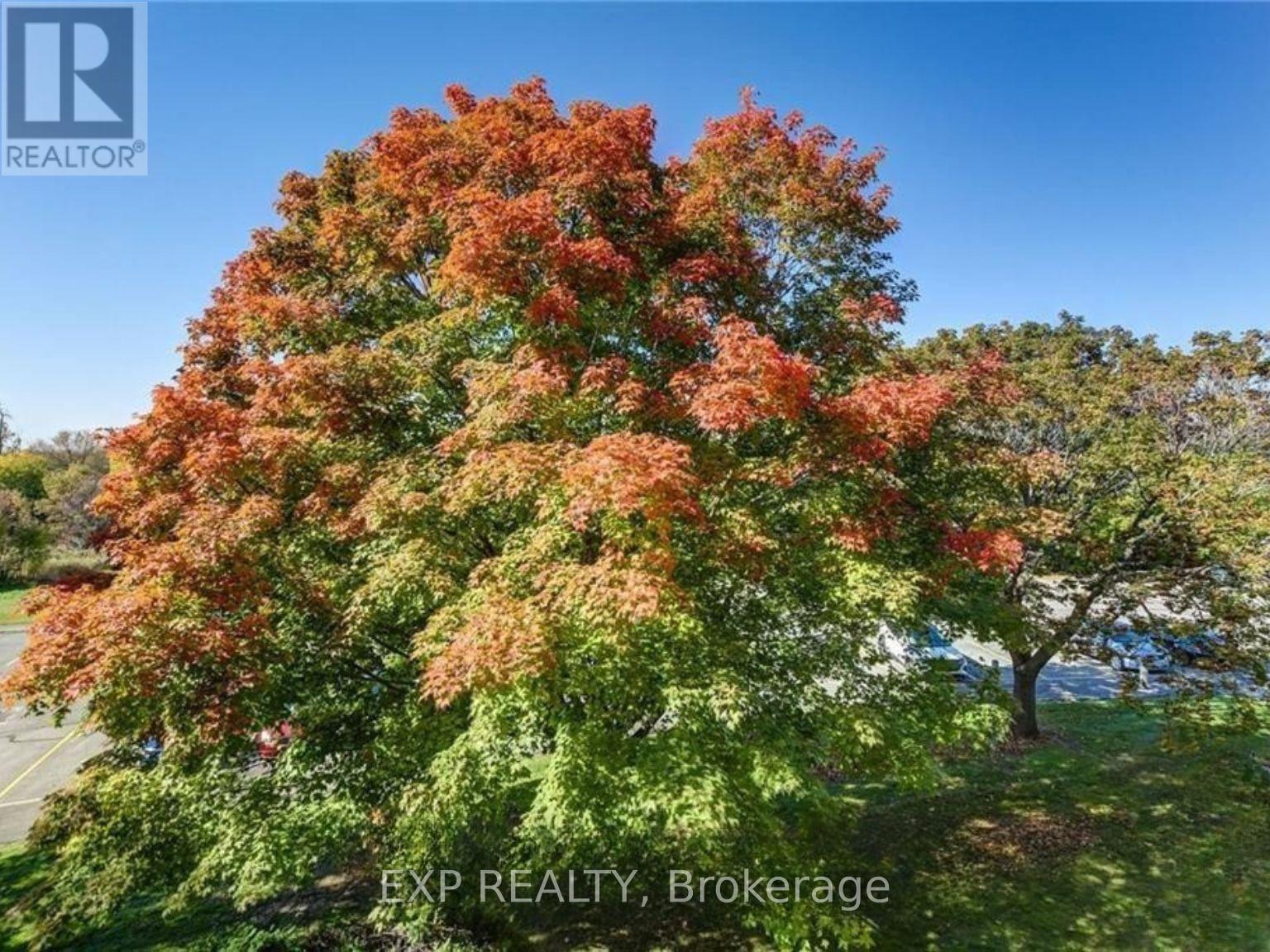 306 - 6376 Bilberry Drive