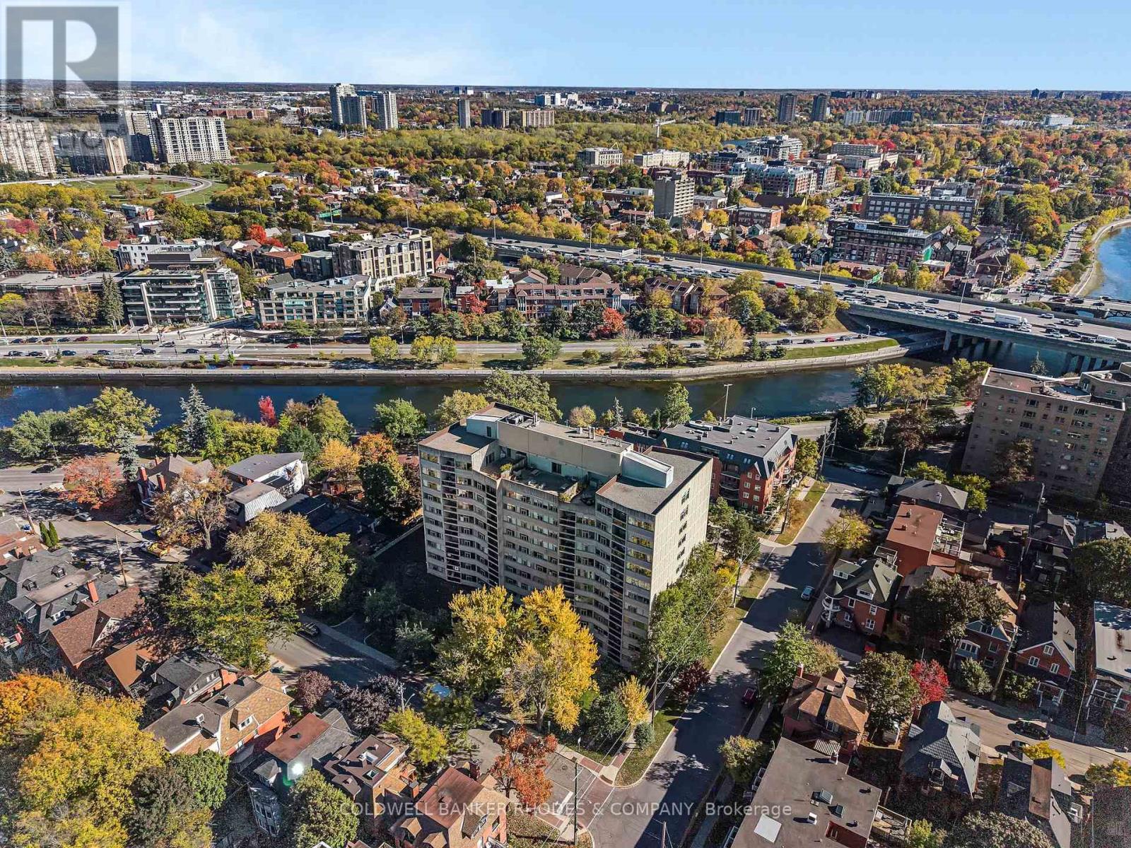 402 - 60 Mcleod Street
