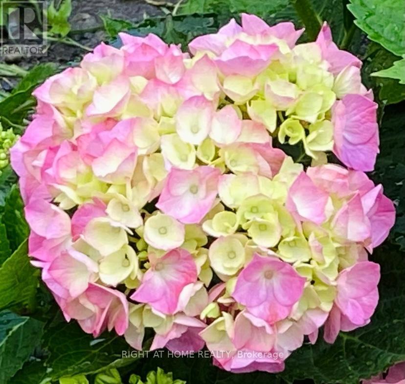 95 - 1474 Heatherington Road