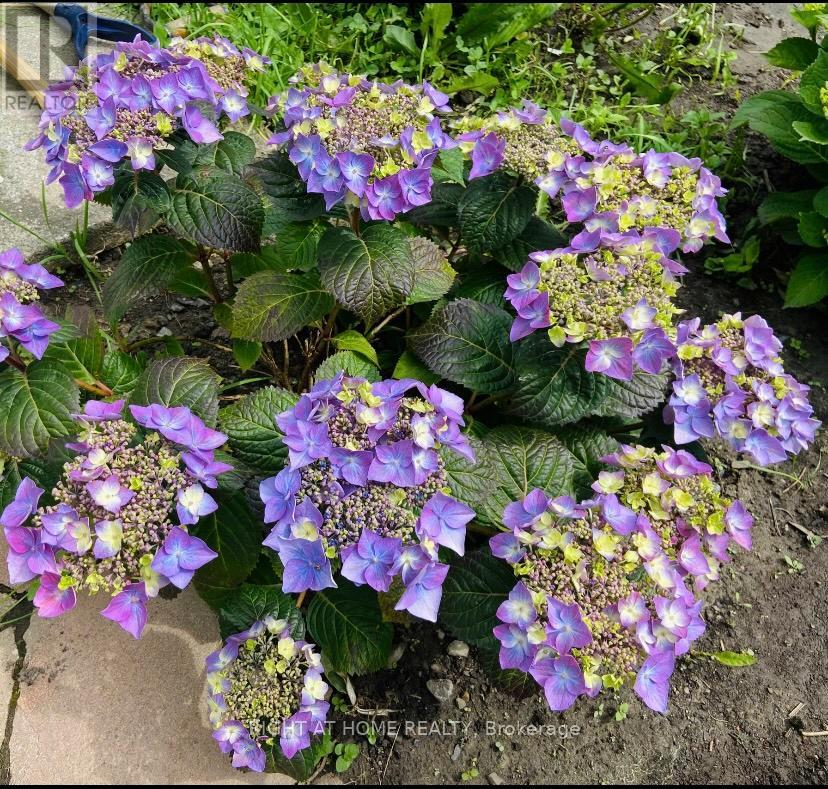 95 - 1474 Heatherington Road