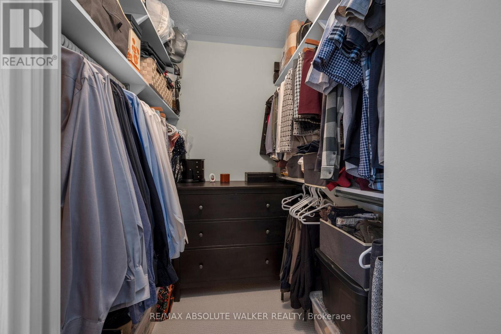 713 Carmella Crescent