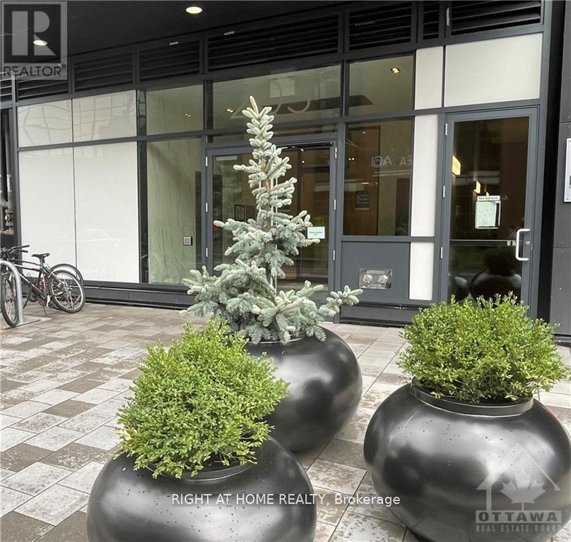 708 - 203 Catherine St Street