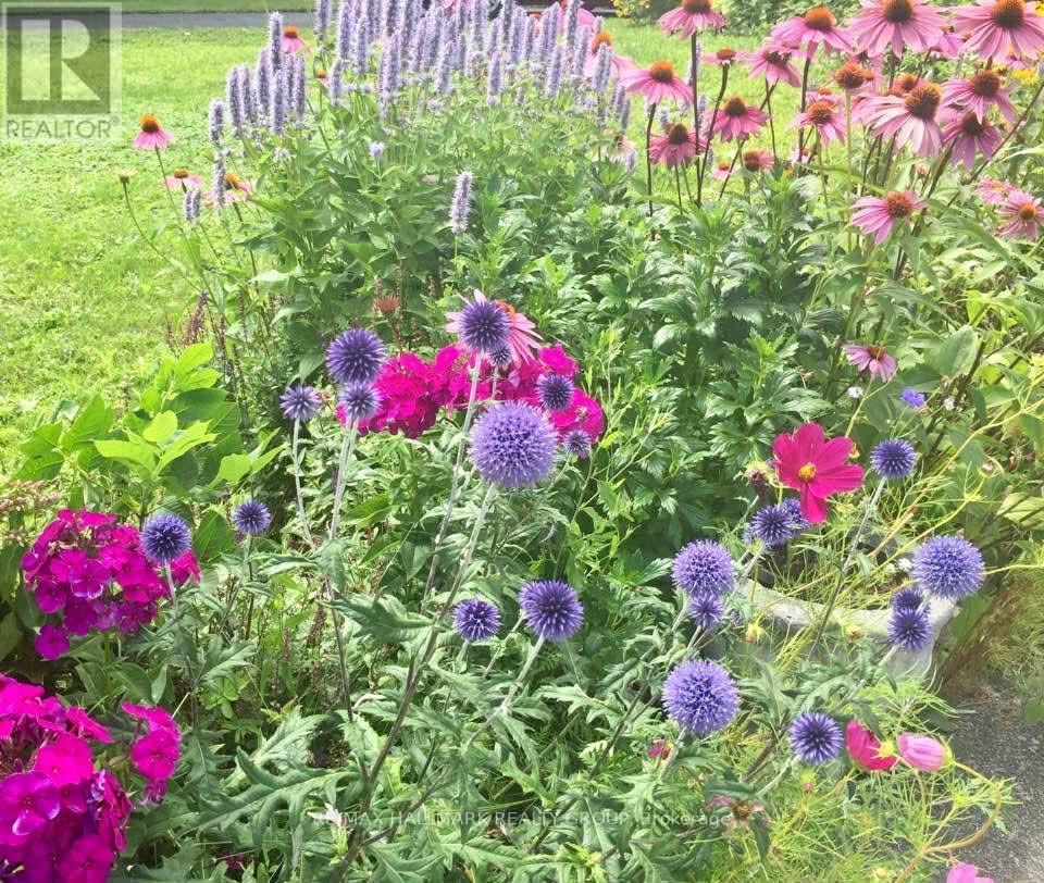 507 Clothier Street E