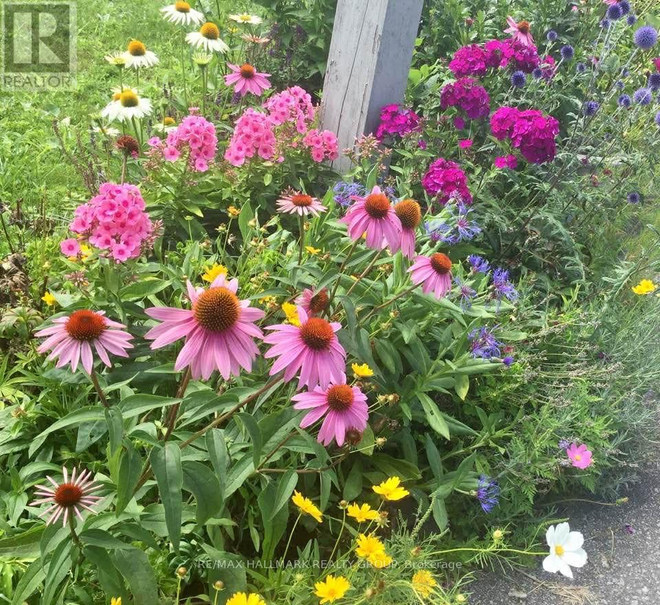 507 Clothier Street E