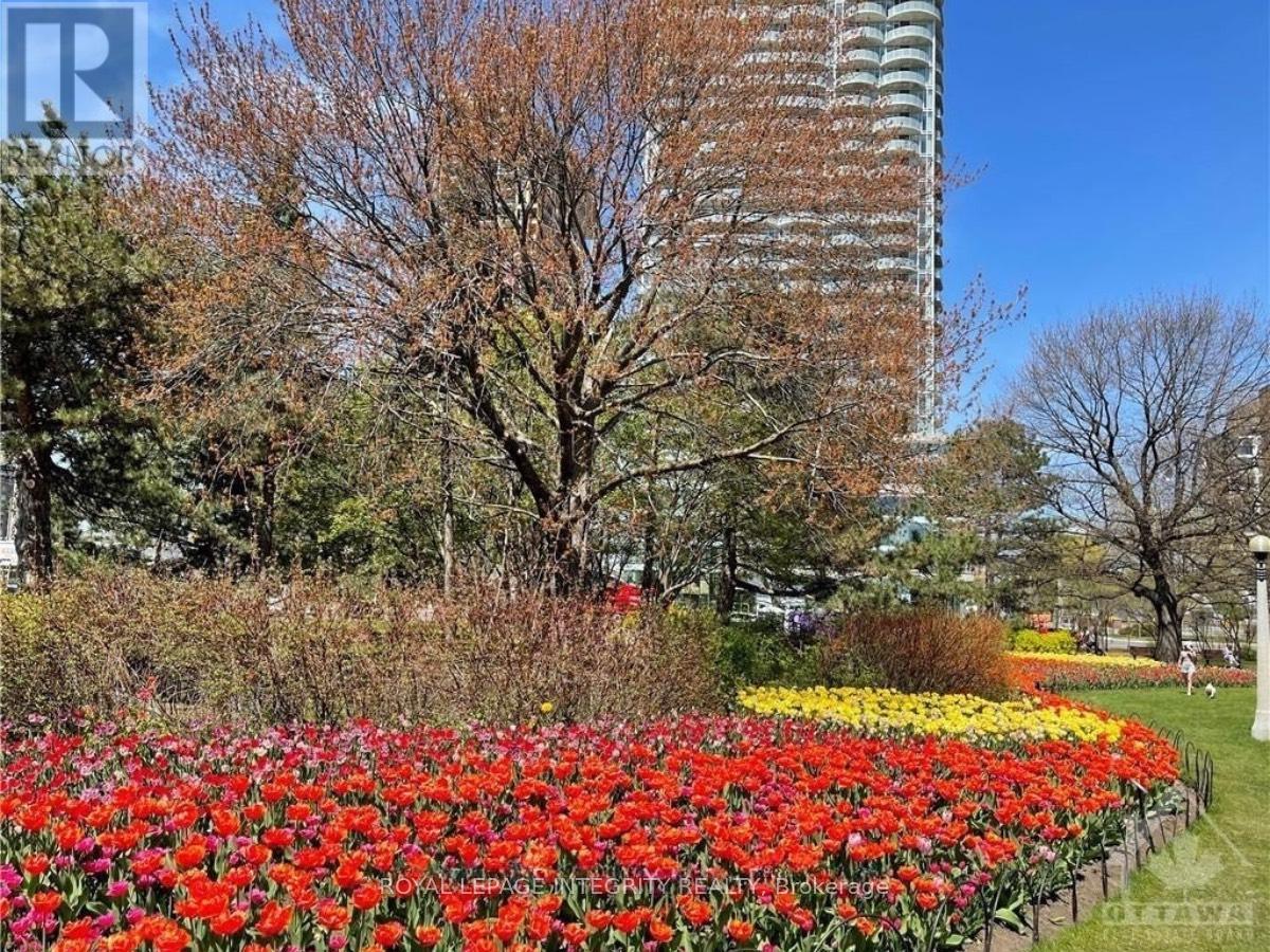 3505 - 805 Carling Avenue