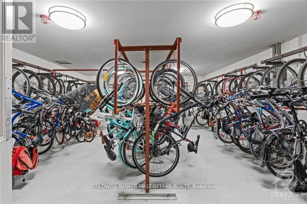 1107 - 1100 Ambleside Drive