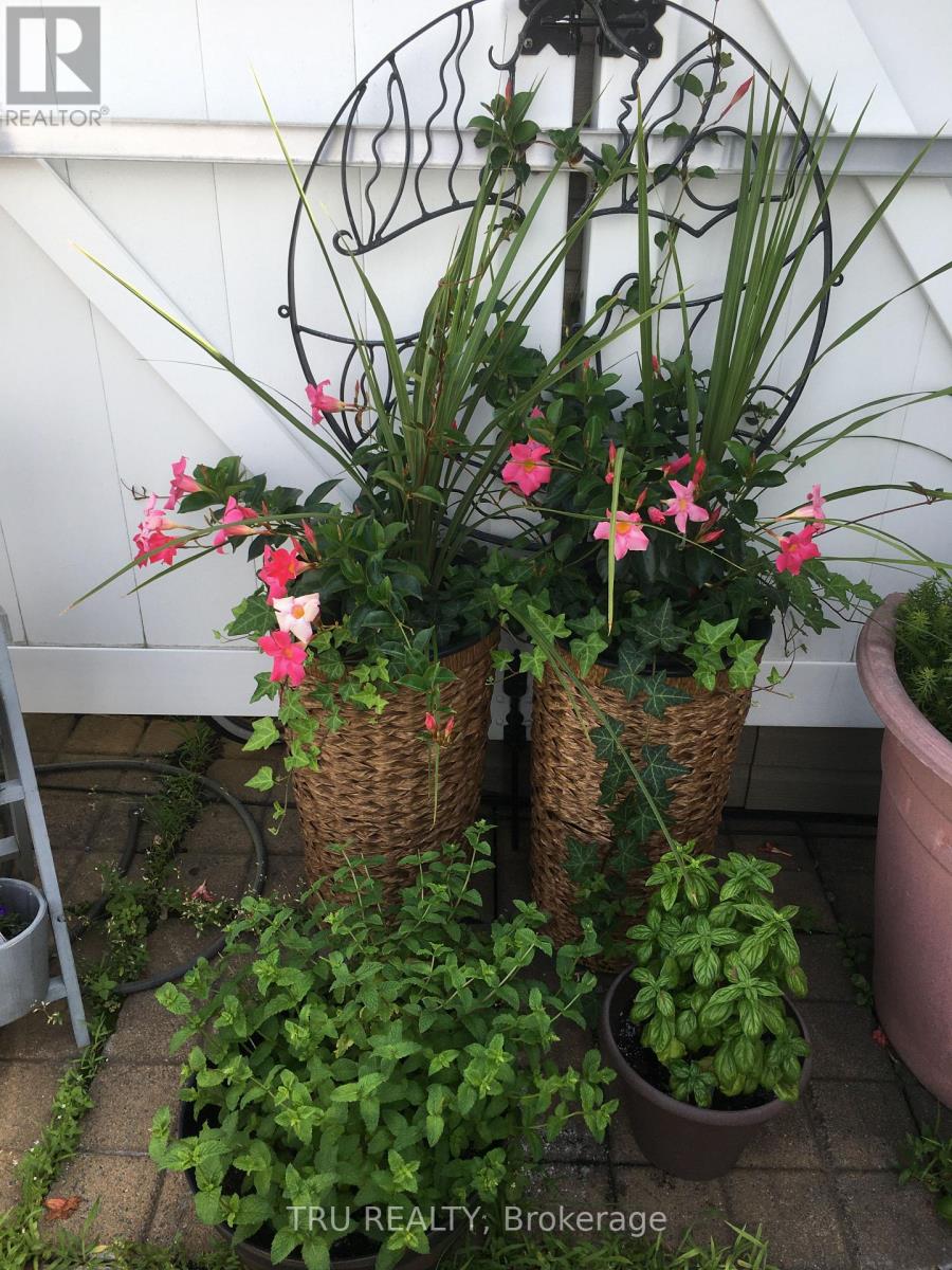 Ph4 - 158a Mcarthur Avenue