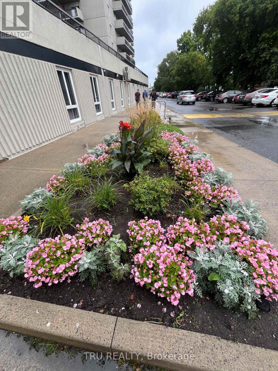 Ph4 - 158a Mcarthur Avenue