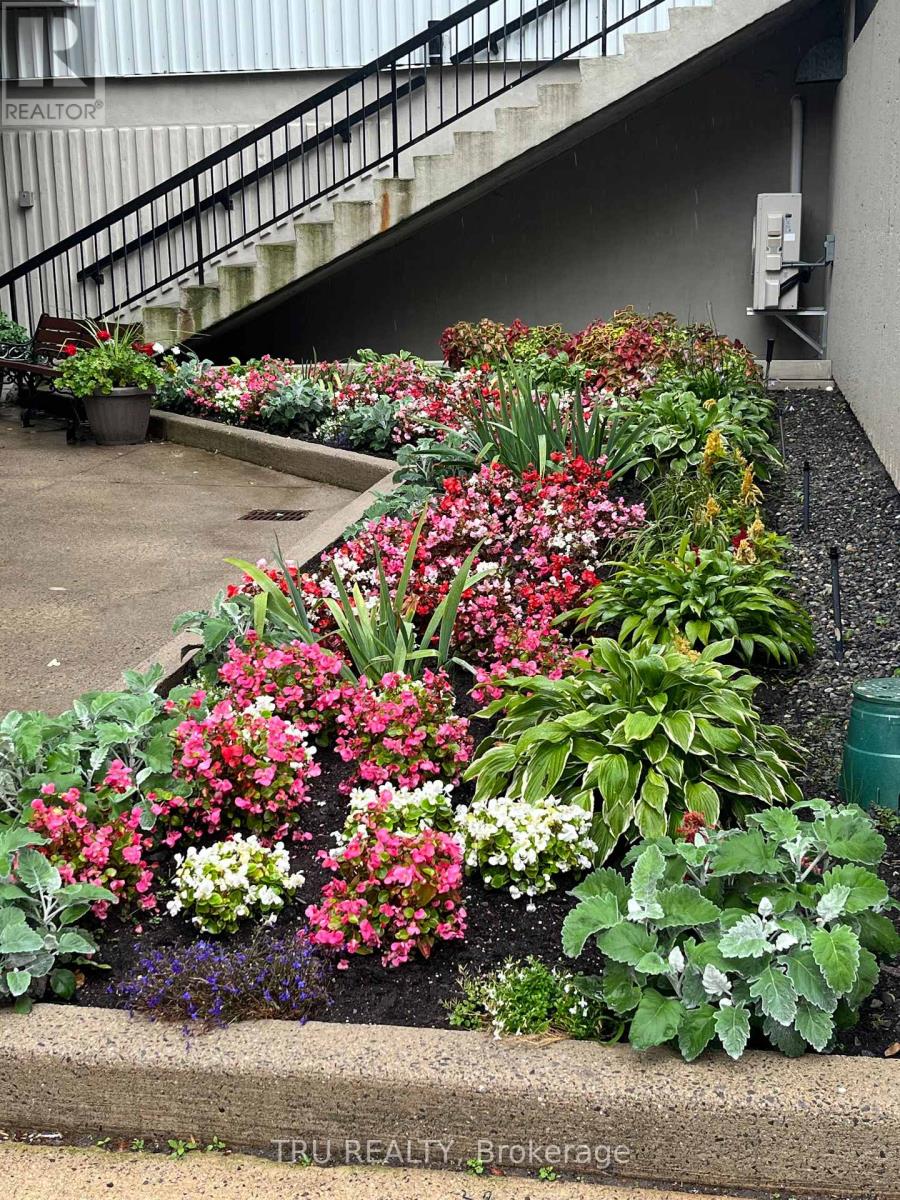 Ph4 - 158a Mcarthur Avenue