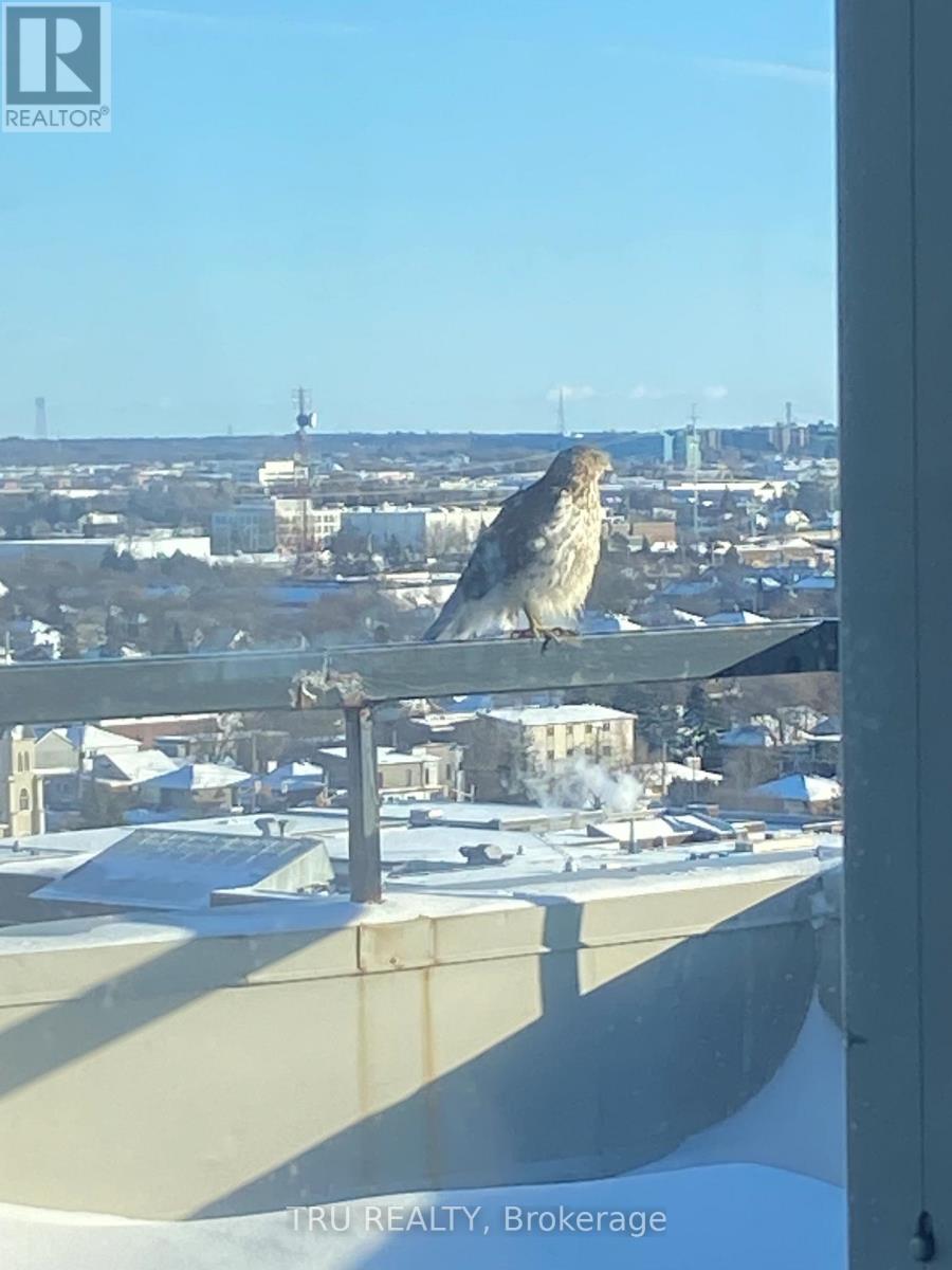 Ph4 - 158a Mcarthur Avenue