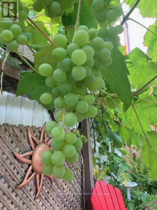 95 - 837 Eastvale Drive