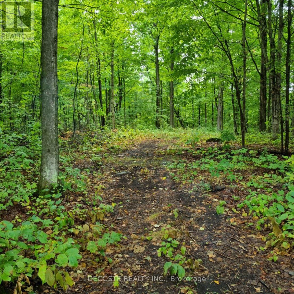 21950 Concession 10 Road