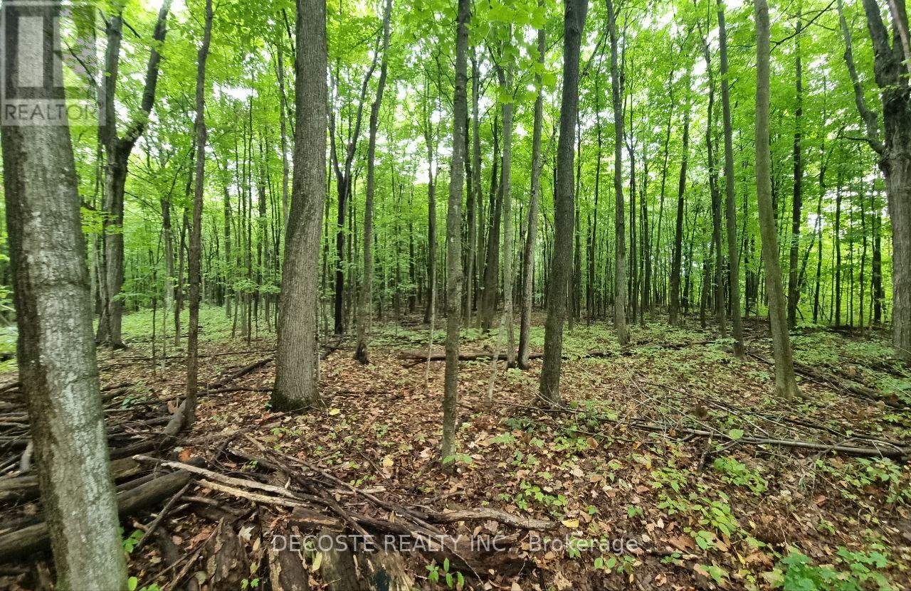 21950 Concession 10 Road