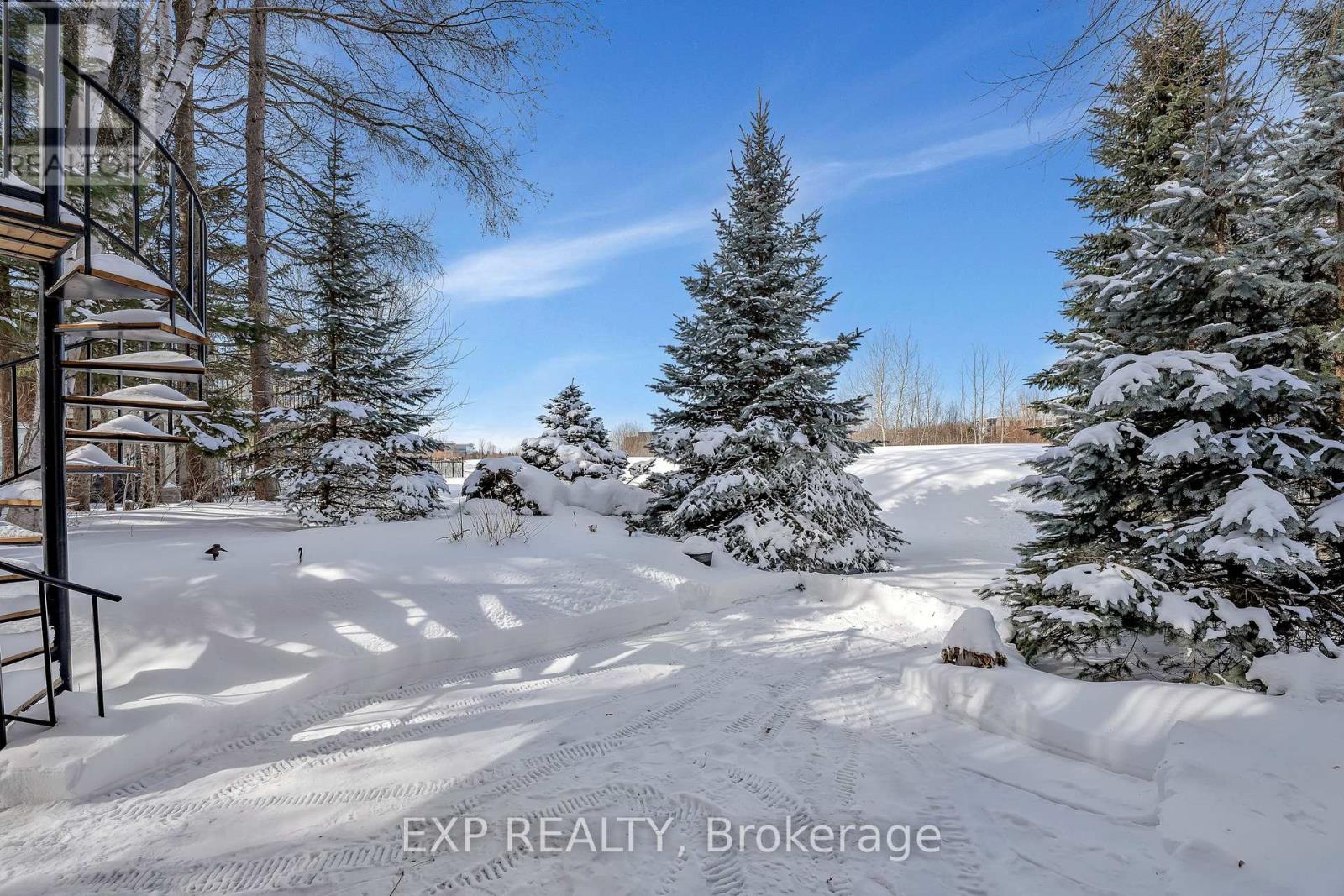 46 Marsh Sparrow Private