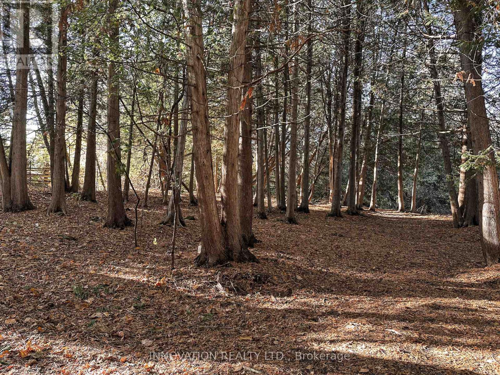 30 Randall James Drive