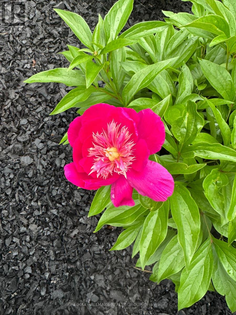 869 Moses Tennisco Street