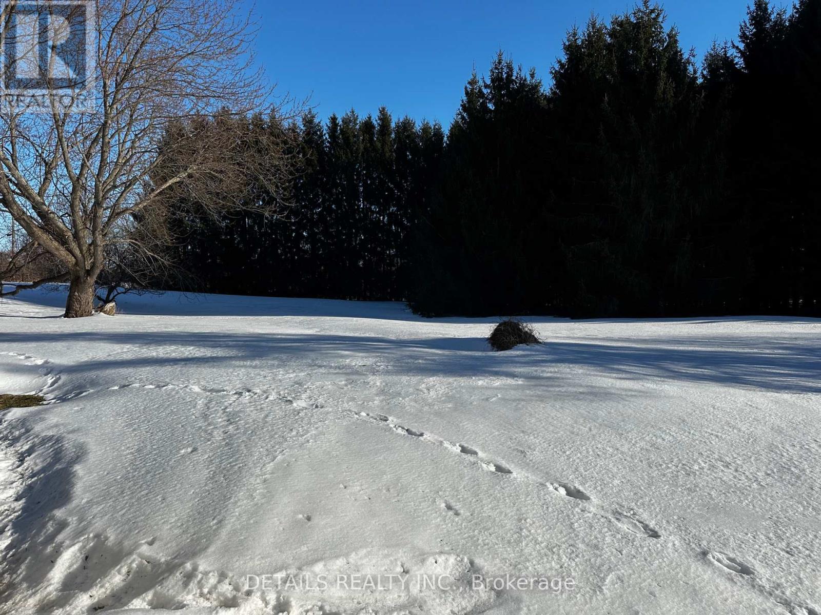 2208 Fitzroy Street N