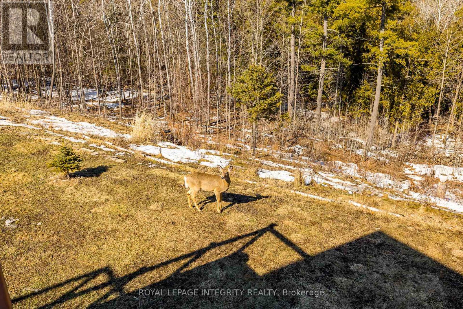 3052 Stoneridge Road