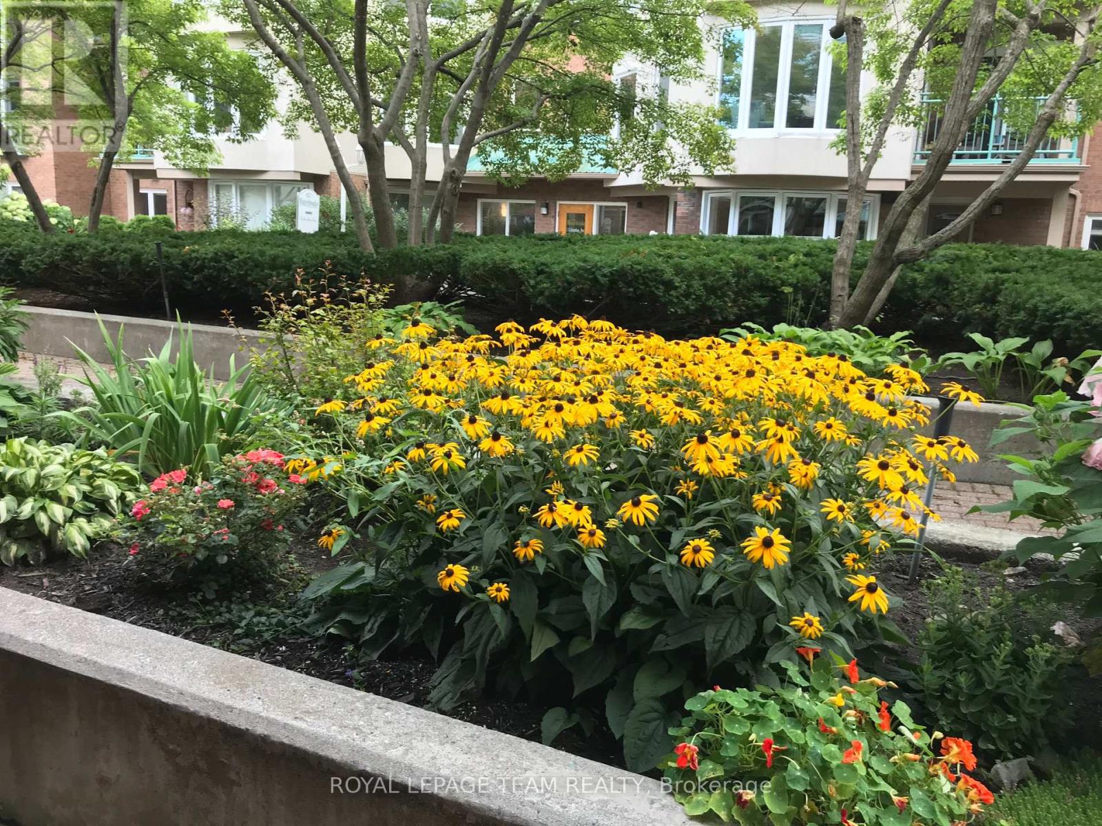 202a - 62 Donald Street