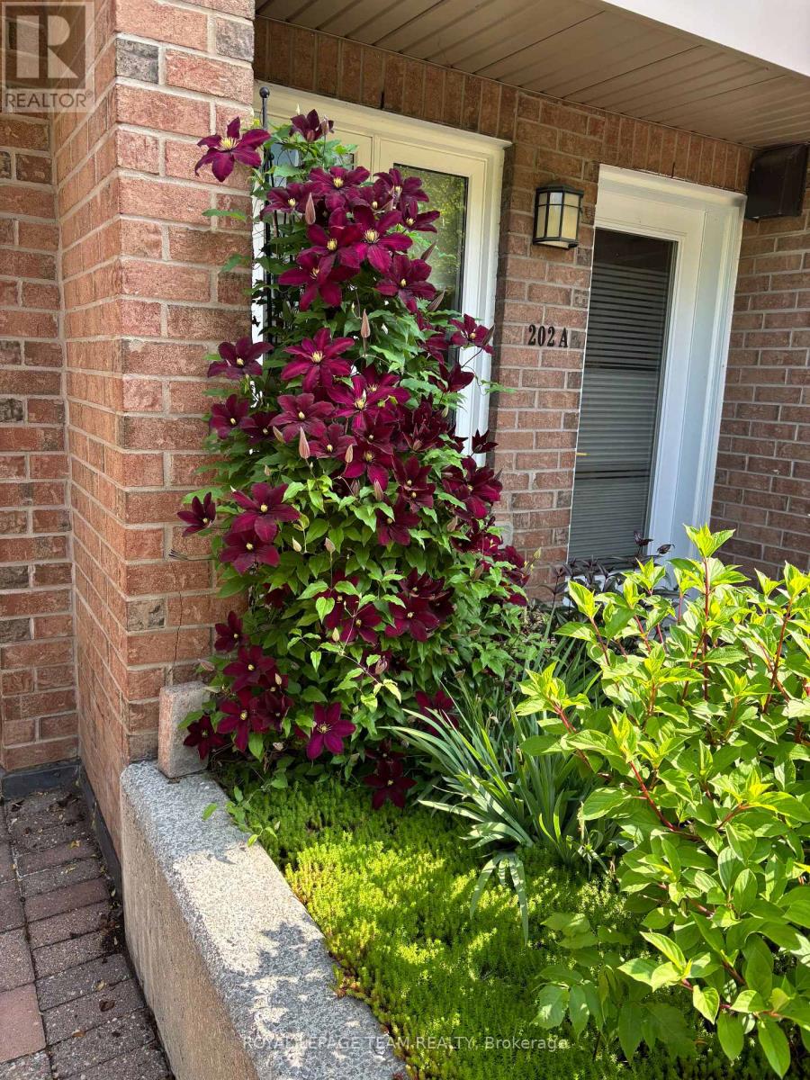 202a - 62 Donald Street