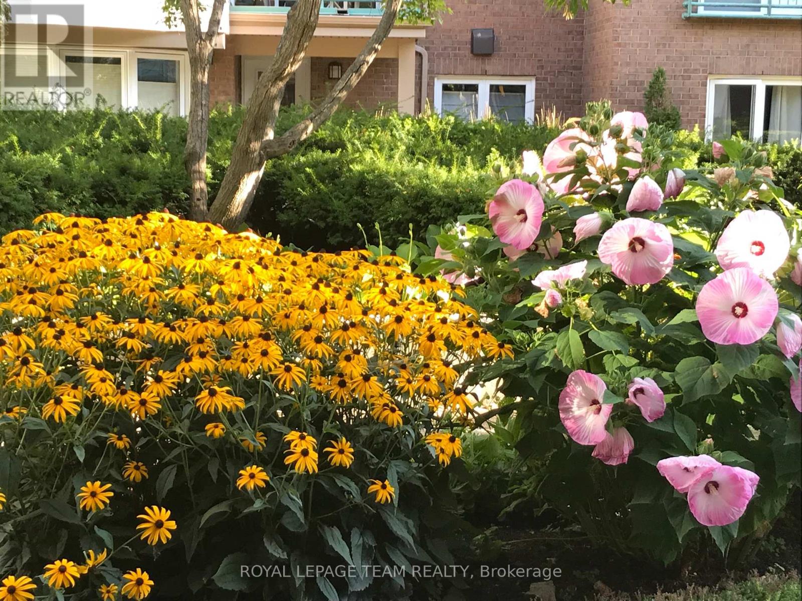 202a - 62 Donald Street